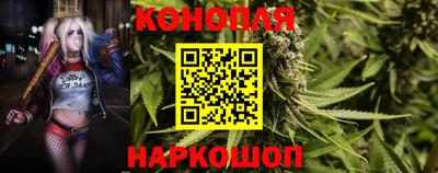 прущие крисы Ипатово