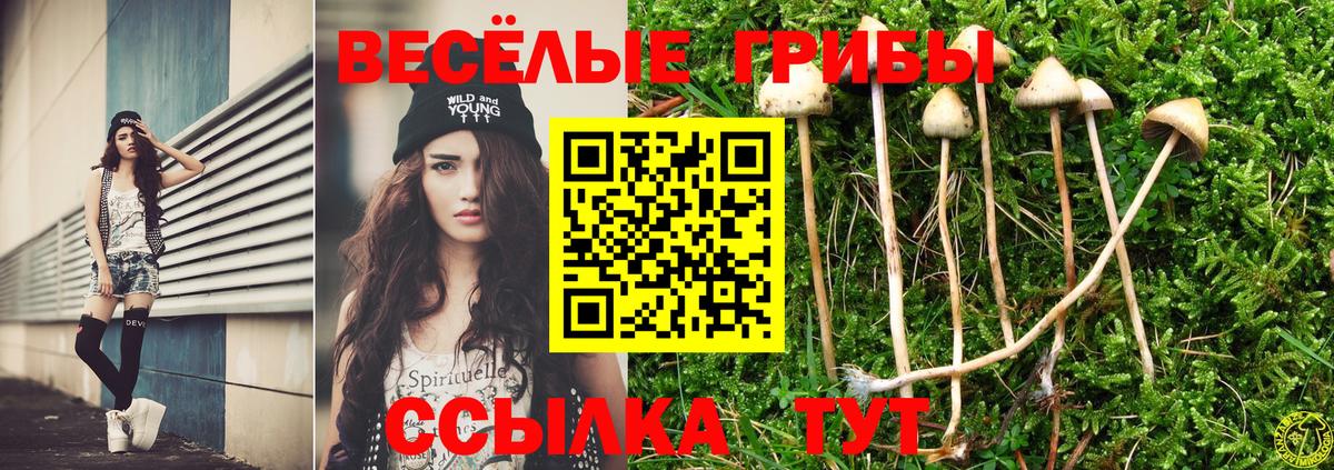 Ленинск-Кузнецкий  Псилоцибиновые грибы прущие грибы  Вход с VPN 
